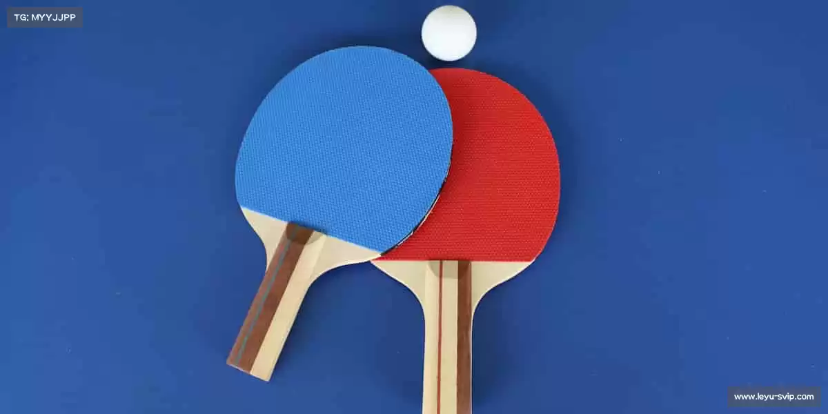 乐鱼——装备你的运动生活,从这里开始!🎾